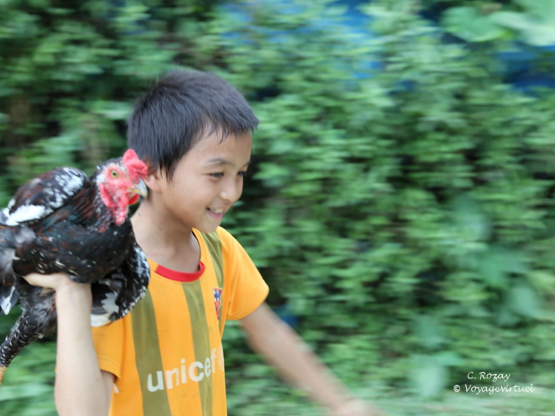 bac ha Vietnam 18 11 17 22