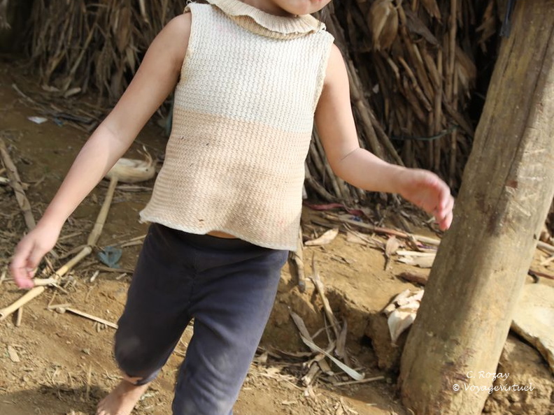 bac ha Vietnam 18 11 17 3
