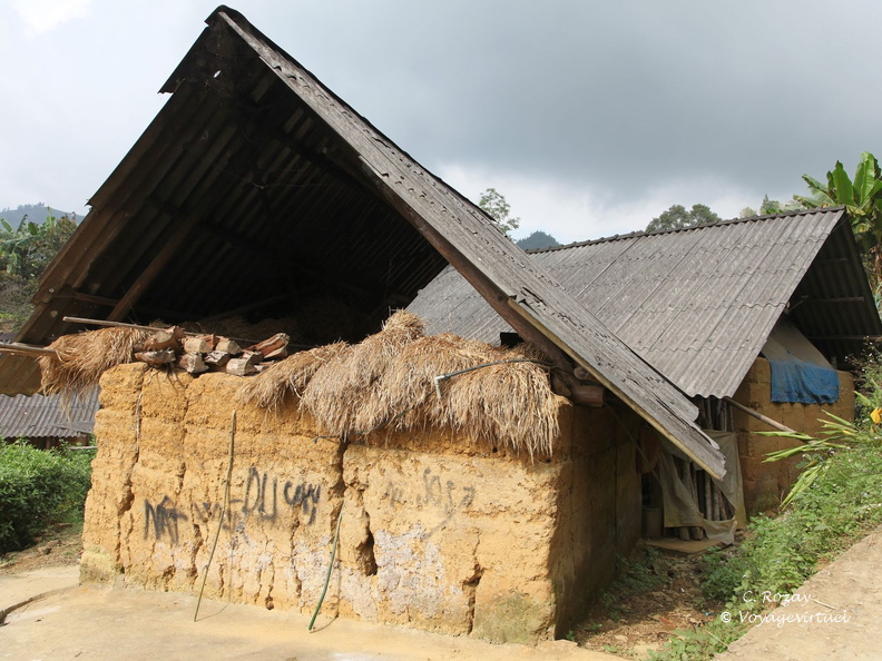 bac ha Vietnam 18 11 17 4