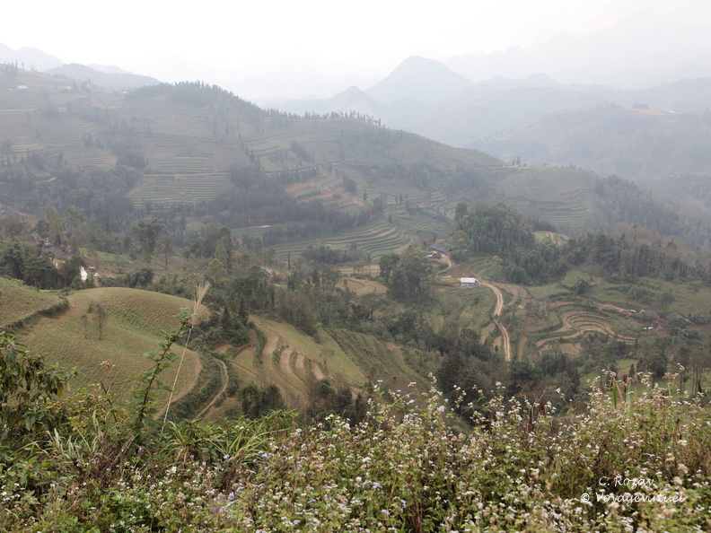 marché hmong de Can Cau VNM 18 11 17 147