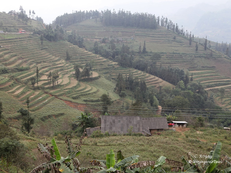 marché hmong de Can Cau VNM 18 11 17 152