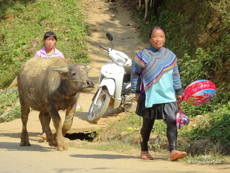 marché hmong de Can Cau VNM 18 11 17 173