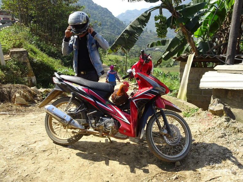 marché hmong de Can Cau VNM 18 11 17 175