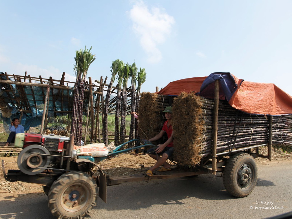 entre mai chau et cuc phuong VNM 11 11 17 14