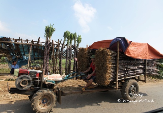 entre mai chau et cuc phuong VNM 11 11 17 14