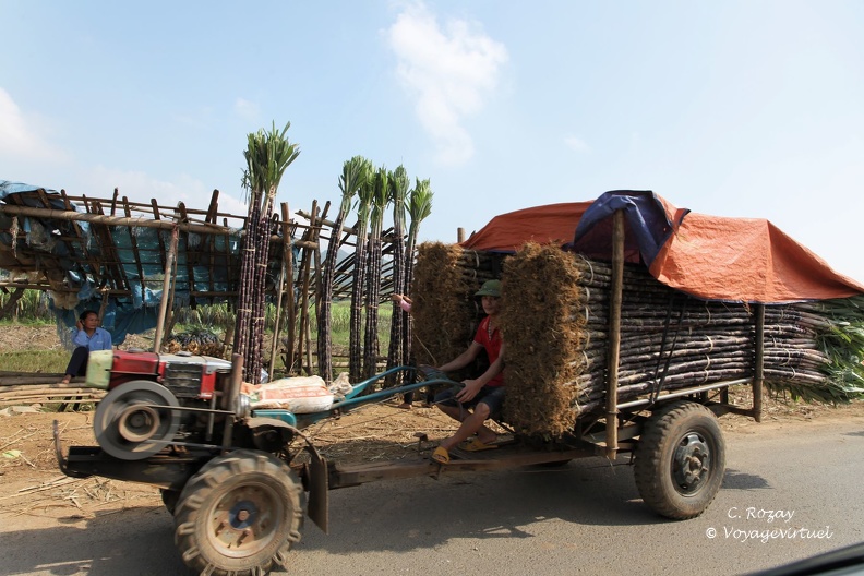 Transport original de la canne à sucre, entre Mai Chau Et Cuc Phuong. Cuc Phuong Vietnam