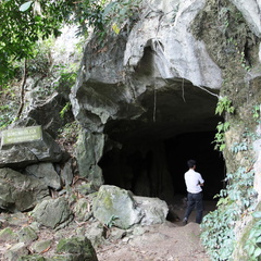 parc cuc phuong Vietnam 11 11 17 11