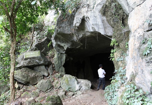parc cuc phuong Vietnam 11 11 17 11