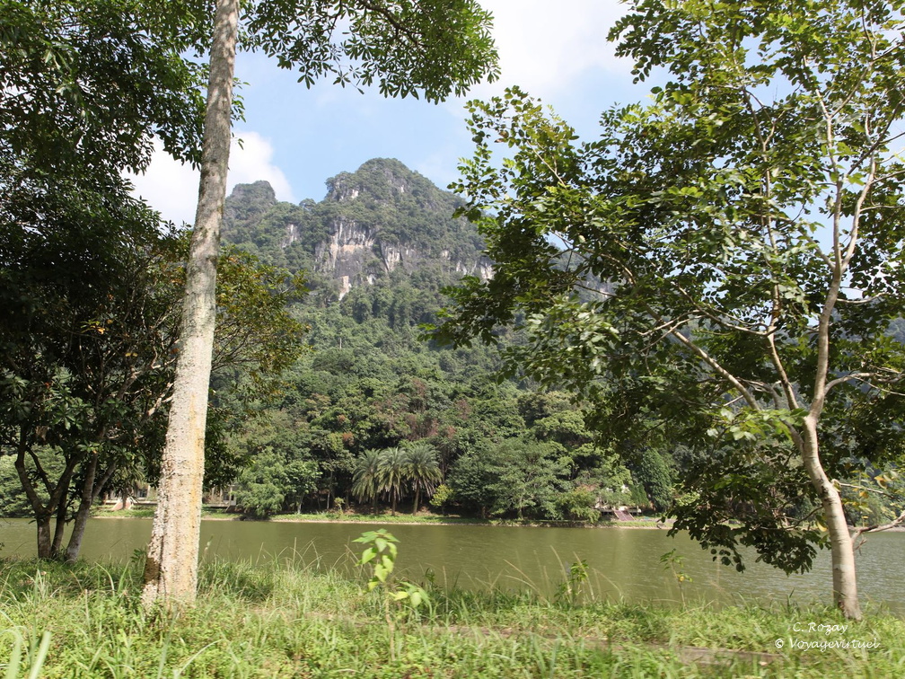 parc cuc phuong Vietnam 11 11 17 2