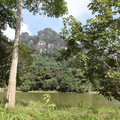 parc cuc phuong Vietnam 11 11 17 2
