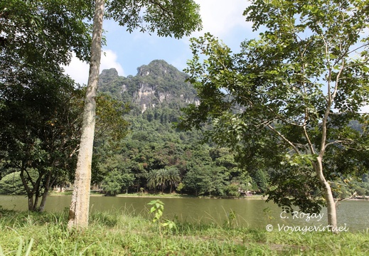 parc cuc phuong Vietnam 11 11 17 2