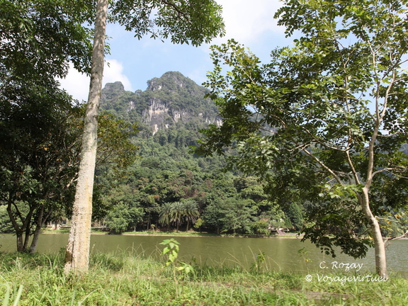 parc cuc phuong Vietnam 11 11 17 2