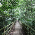 parc cuc phuong Vietnam 11 11 17 4