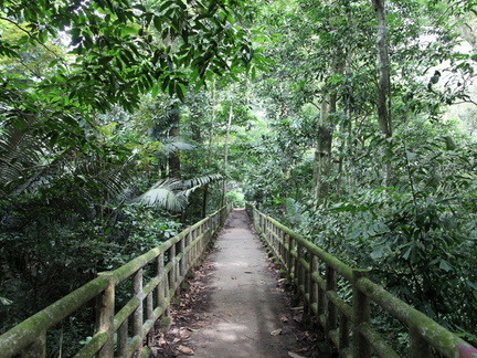parc cuc phuong Vietnam 11 11 17 4