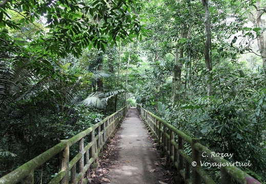parc cuc phuong Vietnam 11 11 17 4