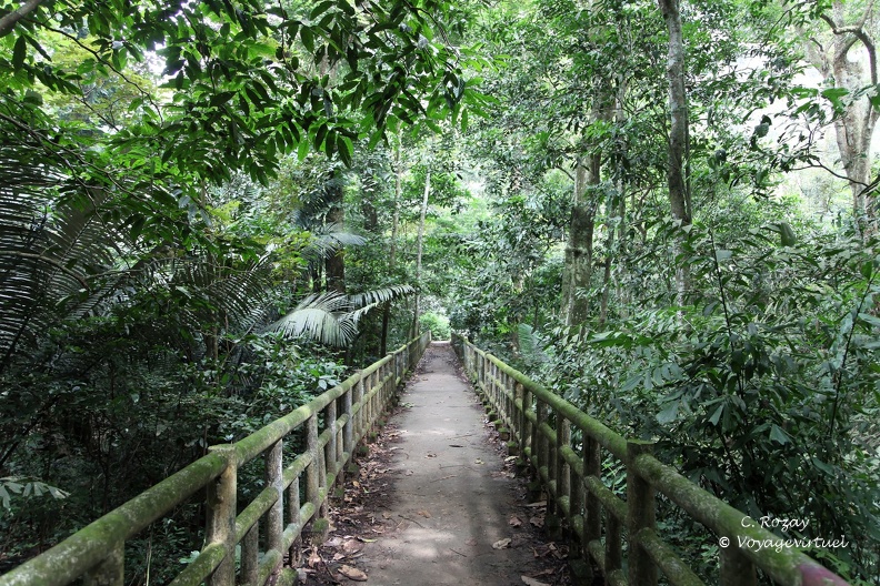 Pont sur le chemin menant à la grotte de l’homme préhistorique, parc Cuc Phuong.  Cuc Phuong Vietnam