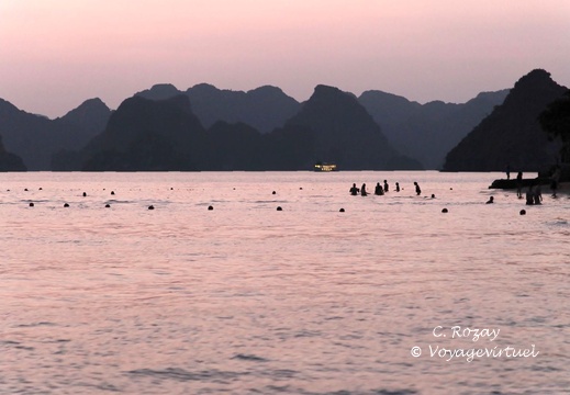 baie de Halong Vietnam 13 11 17 69