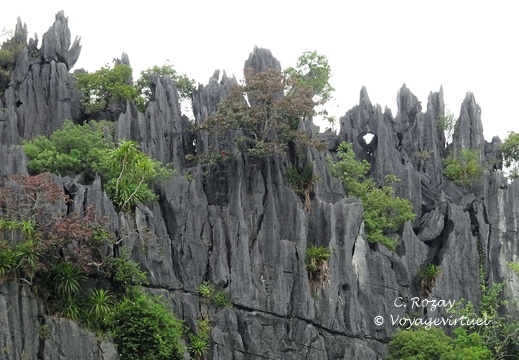baie de Halong Vietnam 14 11 17 13