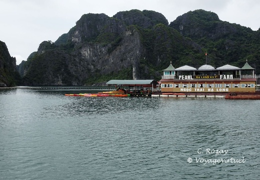 baie de Halong Vietnam 14 11 17 75