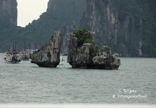 baie de Halong Vietnam 15 11 17 29