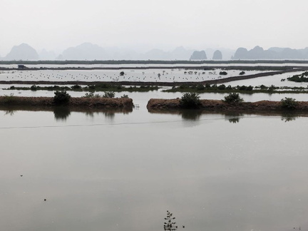 Halong 6539 VNM