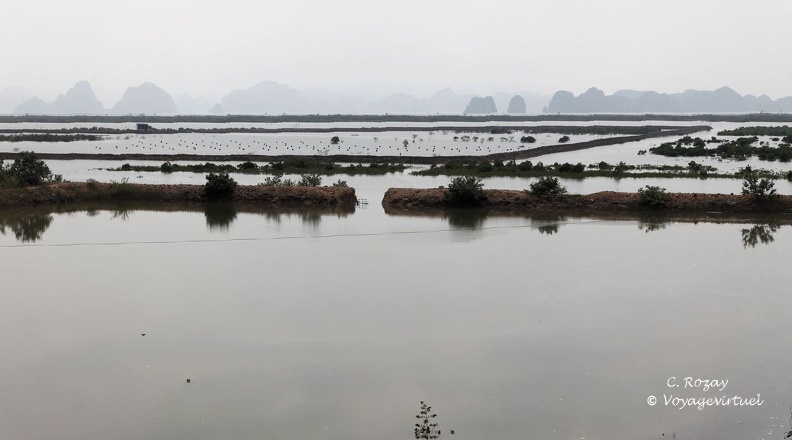 Le paysage de la baie d'Halong vu depuis la côte.  Halong Baie Vietnam