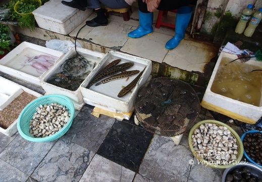 Hanoi Vietnam 15 11 17 19