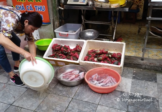 Hanoi Vietnam 15 11 17 6