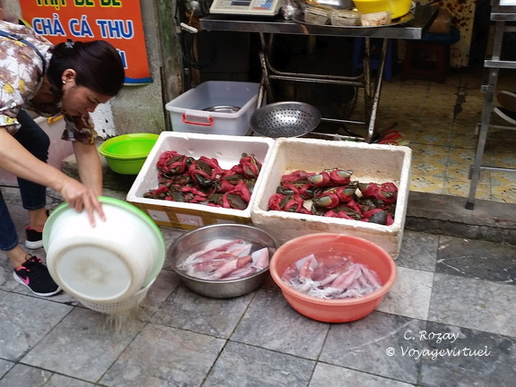 Hanoi Vietnam 15 11 17 6