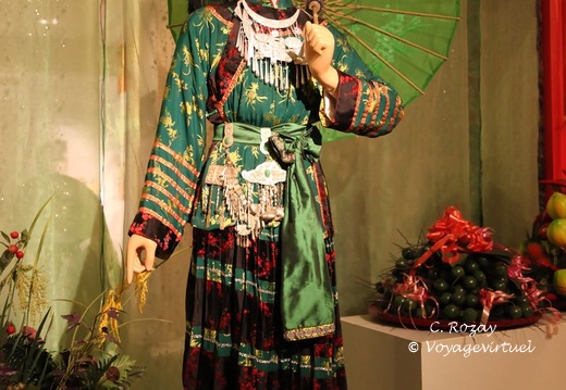 Hanoi musee des femmes VNM 6 11 17 8