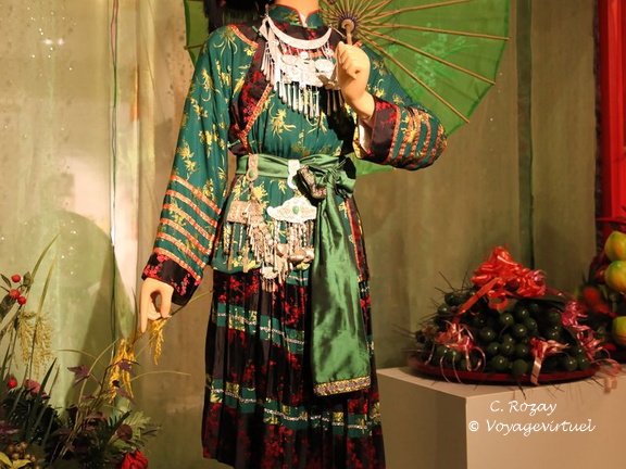 Hanoi musee des femmes VNM 6 11 17 8