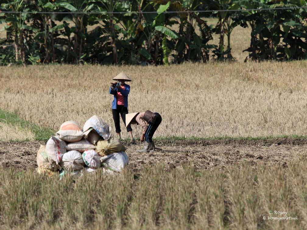 Mai Chau Vietnam 10 11 17 15