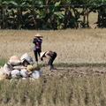 Mai Chau Vietnam 10 11 17 15
