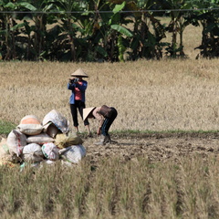 Mai Chau Vietnam 10 11 17 15