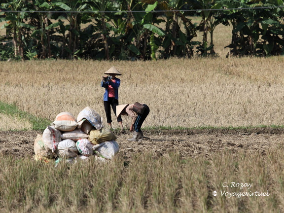 Mai Chau Vietnam 10 11 17 15