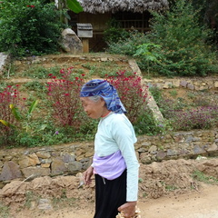 Mai Chau Vietnam 10 11 17 150