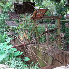 Mai Chau Vietnam 10 11 17 153