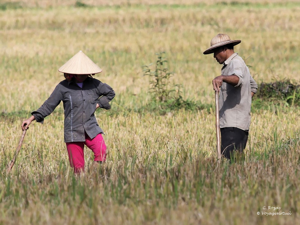 Mai Chau Vietnam 10 11 17 17