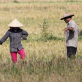 Mai Chau Vietnam 10 11 17 17