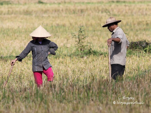 Mai Chau Vietnam 10 11 17 17