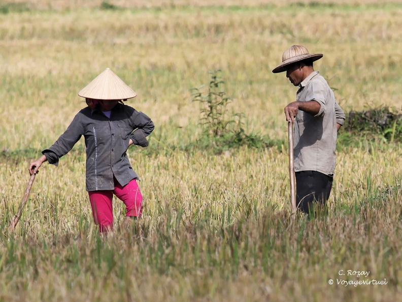 Mai Chau Vietnam 10 11 17 17