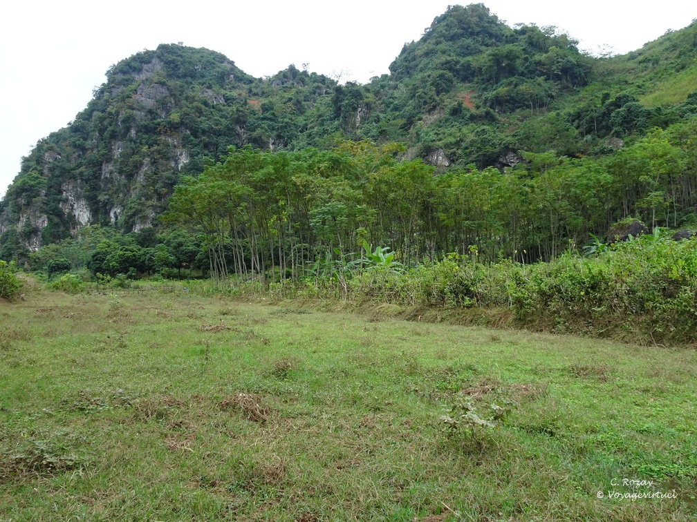 Mai Chau Vietnam 10 11 17 177