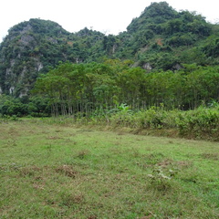 Mai Chau Vietnam 10 11 17 177