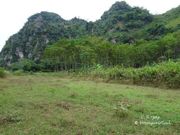 Mai Chau Vietnam 10 11 17 177