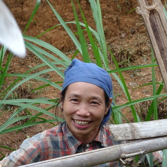 Mai Chau Vietnam 10 11 17 180