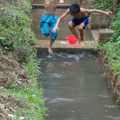 Mai Chau Vietnam 10 11 17 195