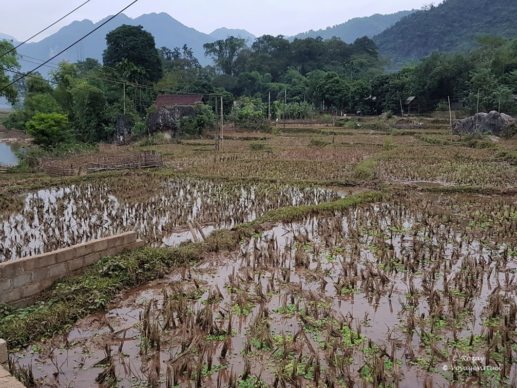 Mai Chau Vietnam 10 11 17 214