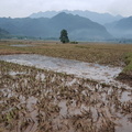 Mai Chau Vietnam 10 11 17 216