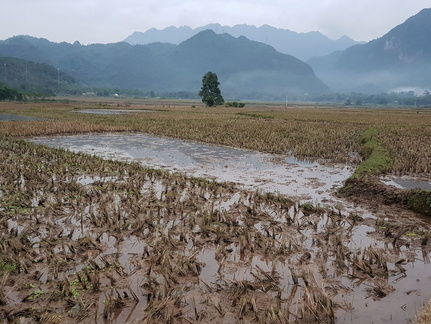 Mai Chau Vietnam 10 11 17 216
