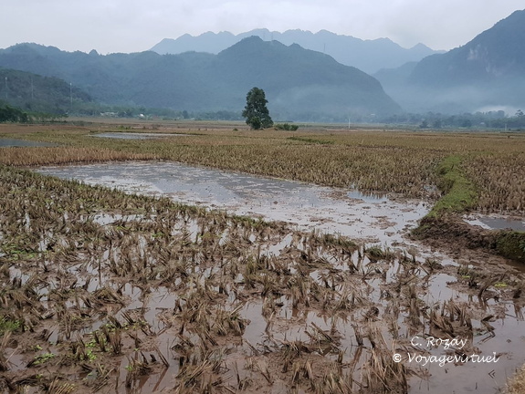 Mai Chau Vietnam 10 11 17 216